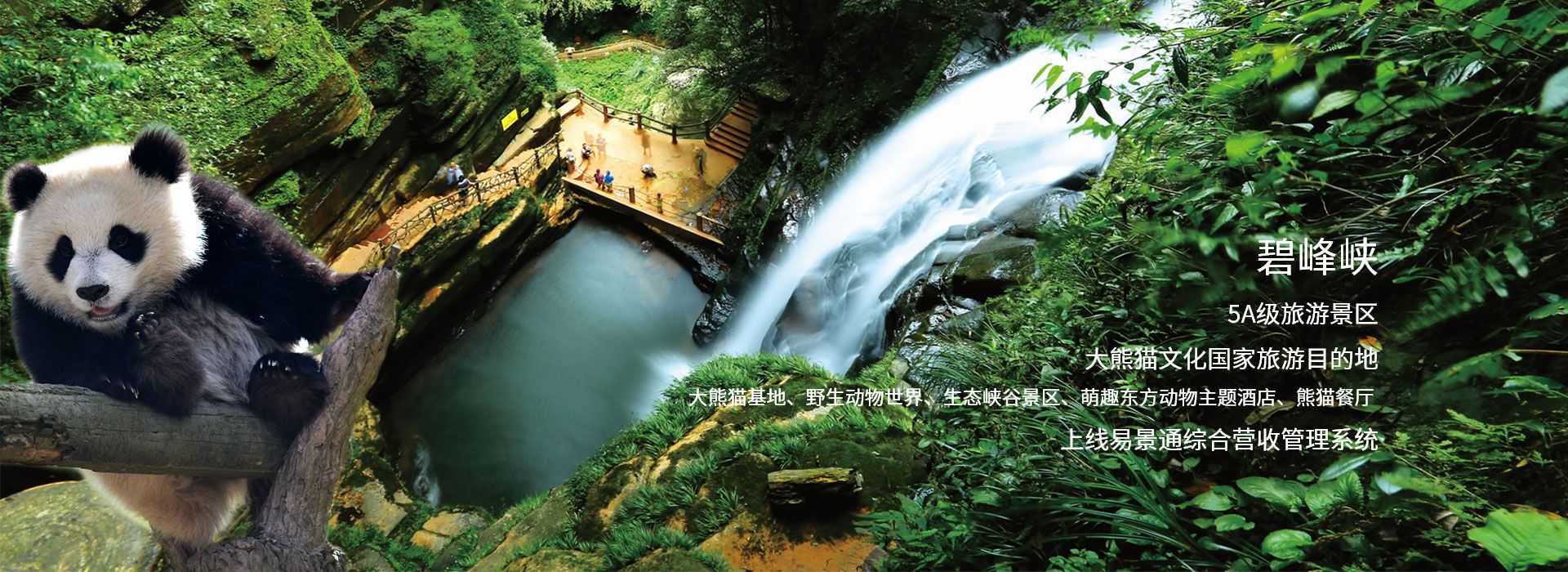 蓝冠注册景区票务系统和碧峰峡5A旅游景点达成合作