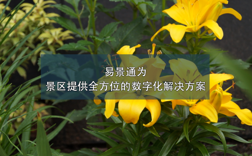 蓝冠注册为景区提供全方位的数字化解决方案