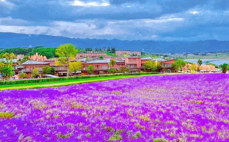 景区门票销售混乱怎么办？试试蓝冠注册景区票务系统