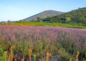 蓝冠注册景区票务系统和西山花海景区达成合作协议