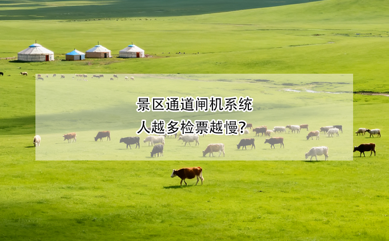 景区通道闸机系统人越多检票越慢？