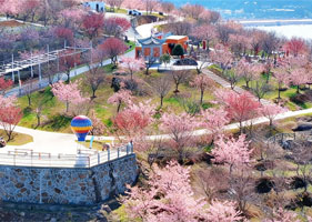 蓝冠注册景区票务系统和桐浦樱花谷达成合作协议